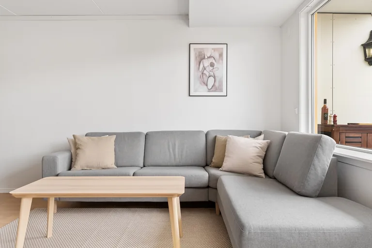 A furnished living room with natural light