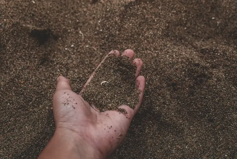 A hand holding loose soil beside a lawn